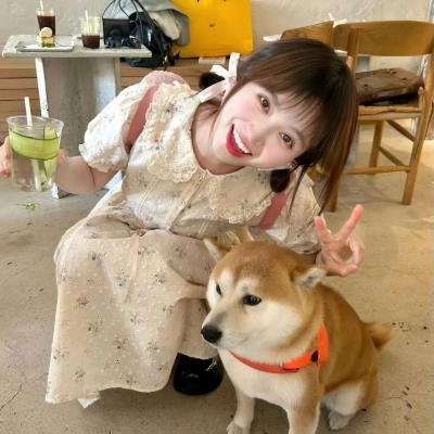 迷失少女日记
