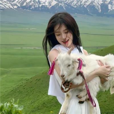 乐高玩具的冒险之旅