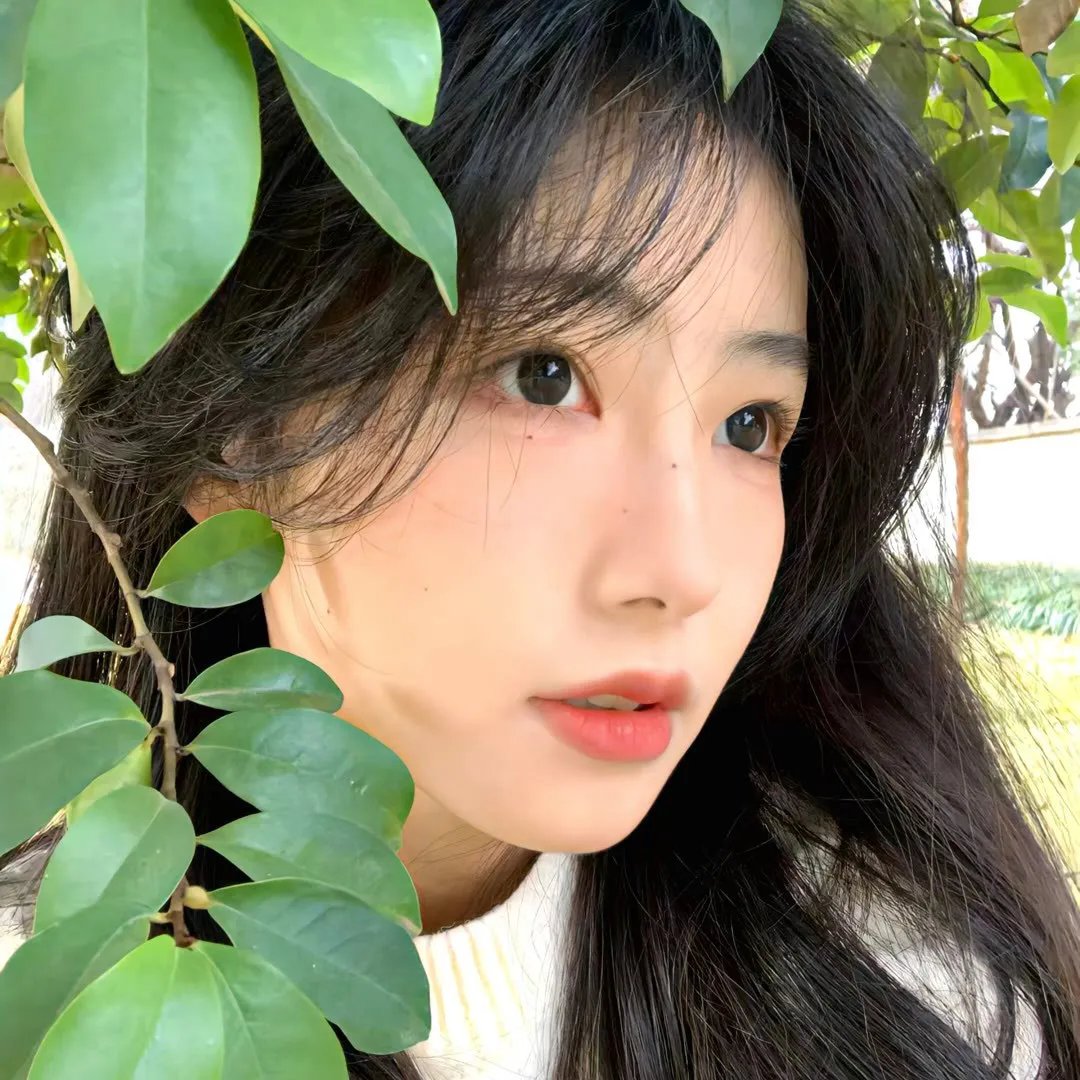 局外人2019
